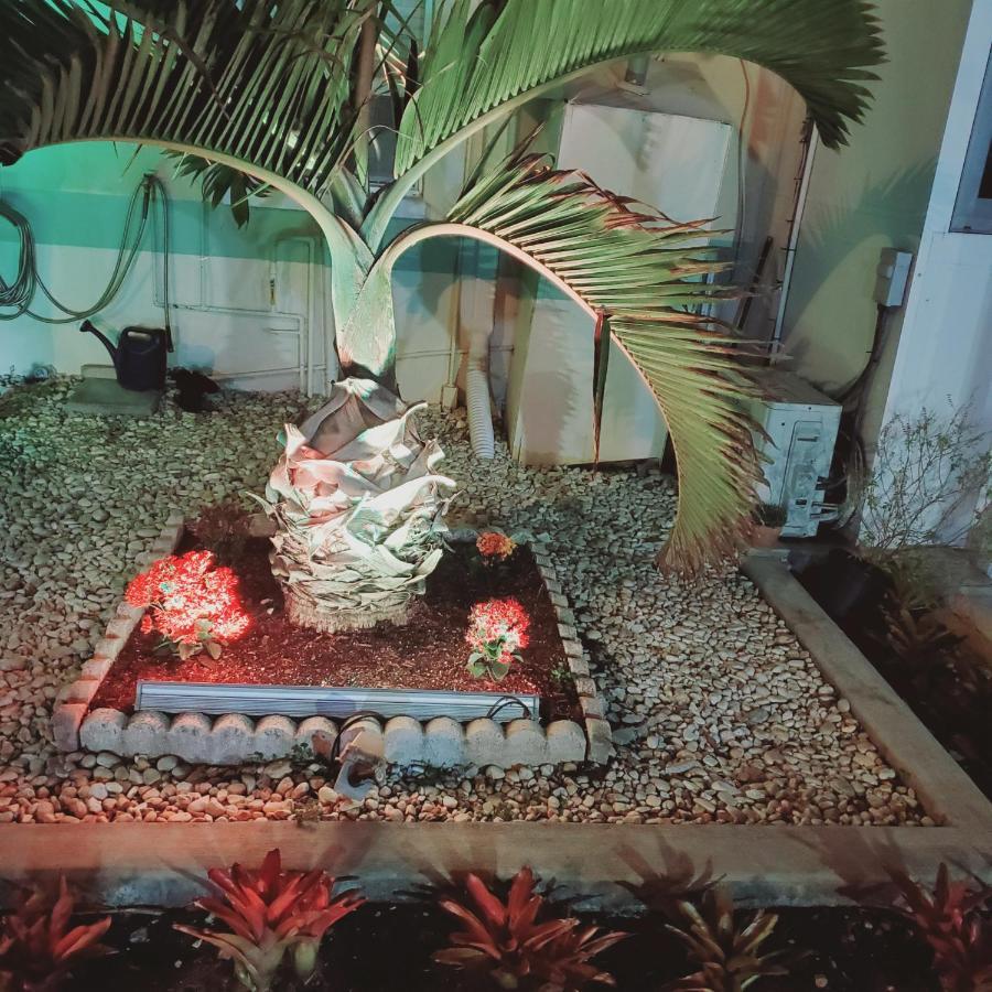 Tropical Palm Motel นอร์ทฟอร์ทไมเออร์ส ภายนอก รูปภาพ